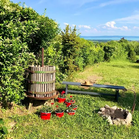 Csicsóka Panoráma * Balatoncsicso