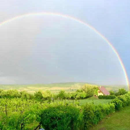 Csicsoka Panorama Balatoncsicso